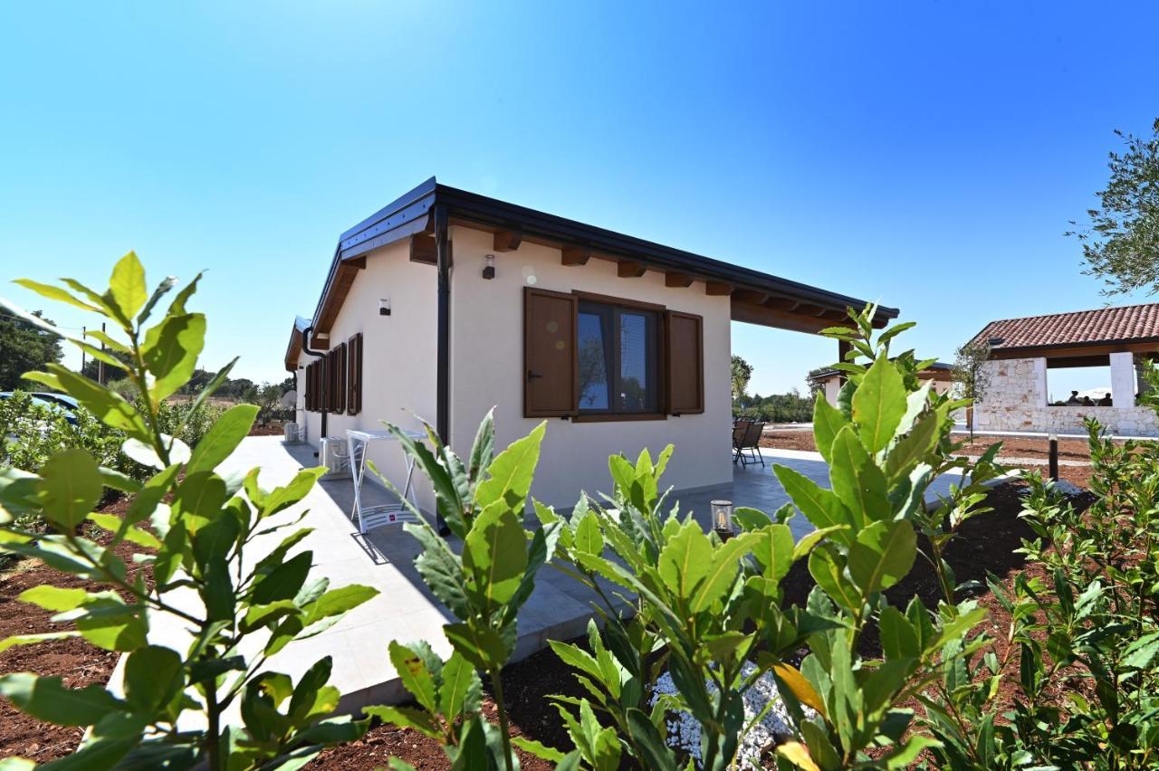 Boara Holiday home
